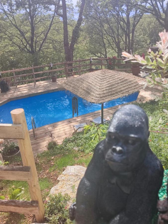 La Lyalis Bed & Breakfast Aiguines Exterior foto