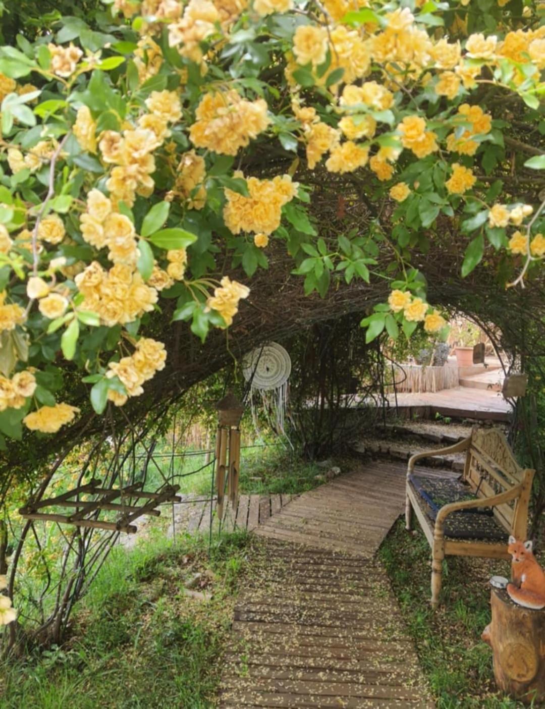 La Lyalis Bed & Breakfast Aiguines Exterior foto